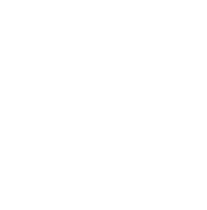 Projecto budget icon